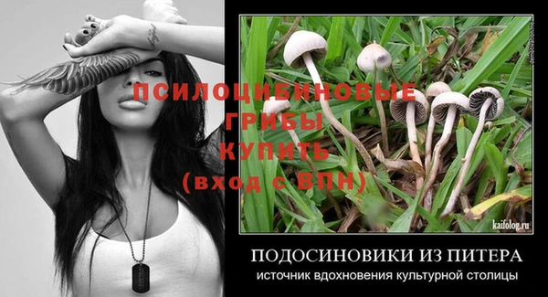 тгк Новодвинск