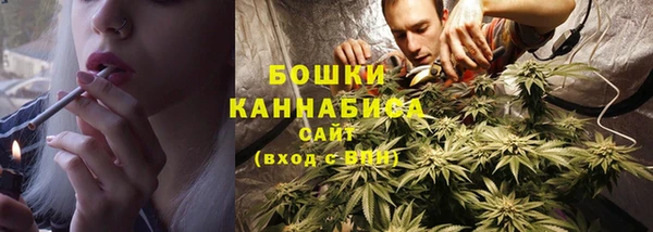тгк Новодвинск