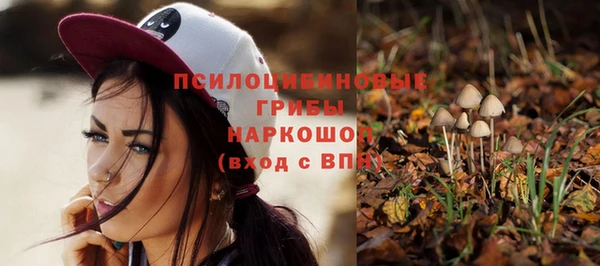 твердый Нягань